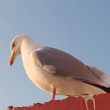 Superbe Vue Mer... Au Calme * Ault